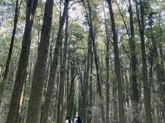 -同里国家湿地公园
