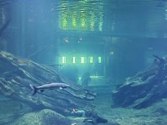 -华夏文旅海洋公园