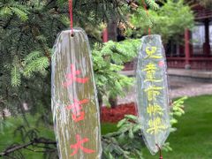 -碑林公园