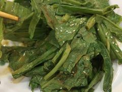 -清真•蜀风园(丁字沽总店)