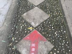 -团结湖公园