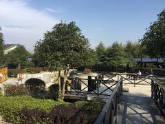 -三江森林温泉度假区