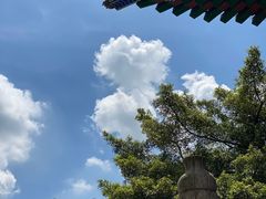 -南国桃园旅游度假区