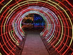 -万源龙顺度假庄园生态观光园