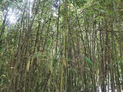 -唐城墙遗址公园