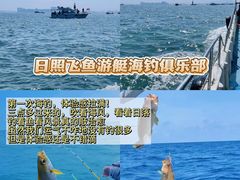 -日照海滨国家森林公园