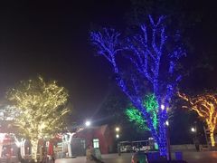 iphone_upload_pic-北京欢乐谷