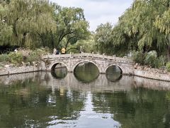 -上海共青森林公园