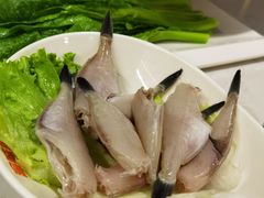 小耗儿鱼-晓宇重庆火锅(赛格国际购物中心店)