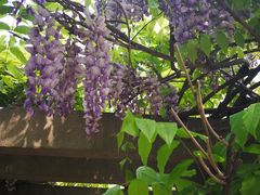 -共青国家森林公园-南大门停车场