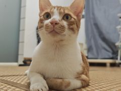 -不仔客海鲜·三亚老字号(第一市场店)