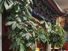 -功德林素菜饭庄(前门店)