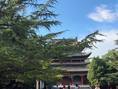 -迎泽公园