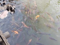 -天毓山庄·餐厅