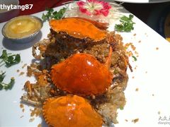 20110202412-楚灶王(徐东店)