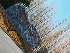 -东平国家森林公园
