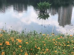 -映月湖公园