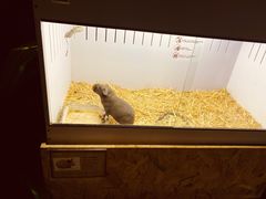 -昆明大悦城未来动物城(螺蛳湾中心店)