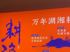-耕渔小院·湖南鱼鲜(望城店)