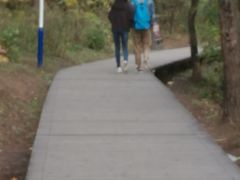 -帽儿山国家森林公园