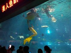 -福州罗源湾海洋世界旅游区