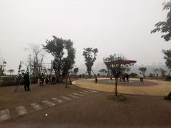-大渡口区义渡公园
