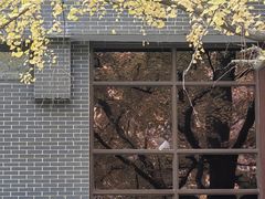 -四川大学(华西校区)