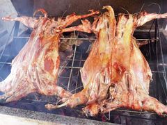 -南山特攻真人CS户外露营轰趴拓展基地