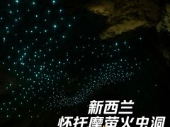 -怀托摩萤火虫洞