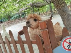 -西安秦岭野生动物园