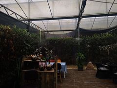 -桉树林A coffee 森林餐厅(三圣乡店)