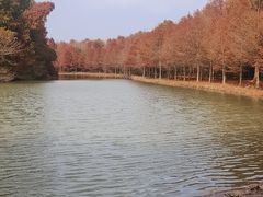 -上海海湾国家森林公园