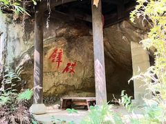 -南山植物园