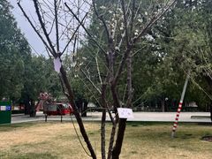 -北京市劳动人民文化宫(太庙)