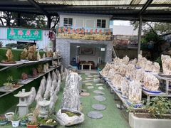 -金科花卉市场