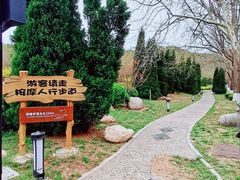 -棒棰岛宾馆景区
