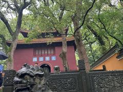 -普陀山风景区-佛顶山