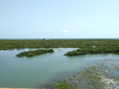 -北海金海湾红树林生态旅游区