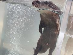 -波塞冬海底世界