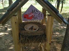 -福建鲤鱼洲酒店