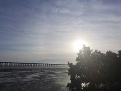 -宝安西湾红树林湿地公园