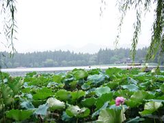 -苏堤停车场
