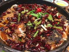 -老板恋上鱼(印象城店)