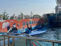 -秦皇岛新澳海底世界