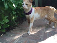 -Champey Cooking Class