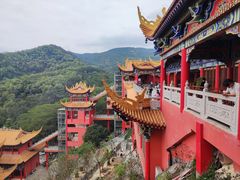 -东莞市大岭山森林公园