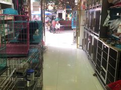 门店-波波宠物用品美容店(邻水店)