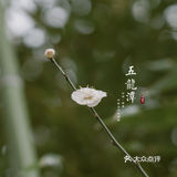 济南三月赏花指南丨五龙潭