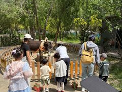 -水上乐园·欢乐世界