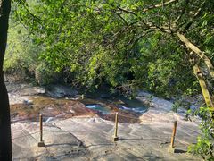 -广州白江湖森林公园